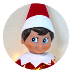 a headshot of an elf on the shelf